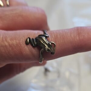 Silver Frog Adjustable Ring